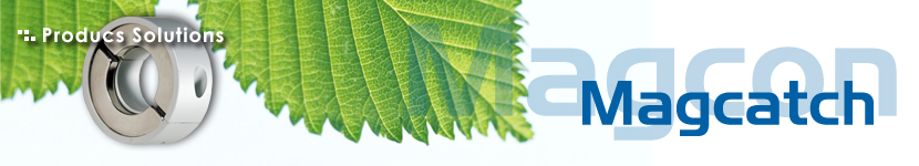 �p�[�e�B�N���L���b�`���[